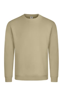Avalon crew neck sweatshirt
