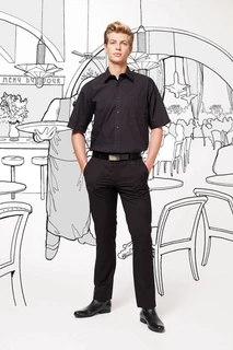 Herren Popelin Kurzarm Hemd