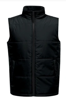 Access Bodywarmer
