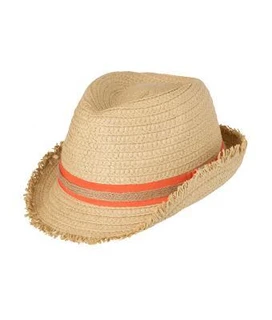 Trendy Summer Hat