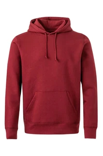 Canyon unisex hooded sweatshirt gots